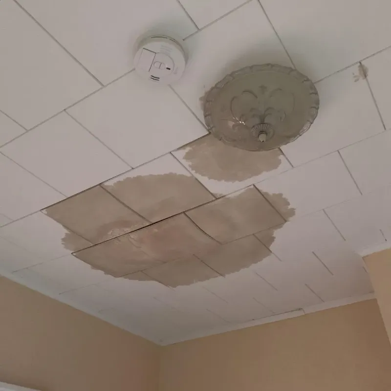 Ceiling Water Damage Repair in Canton, OH