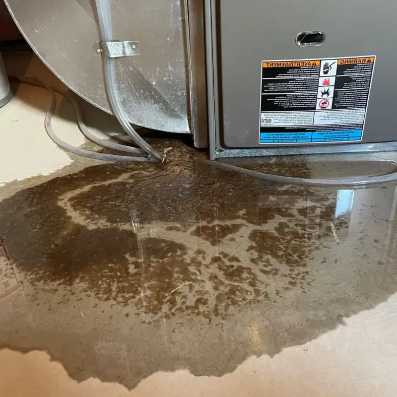 Pipe Burst and Leak Restoration in Canton, OH