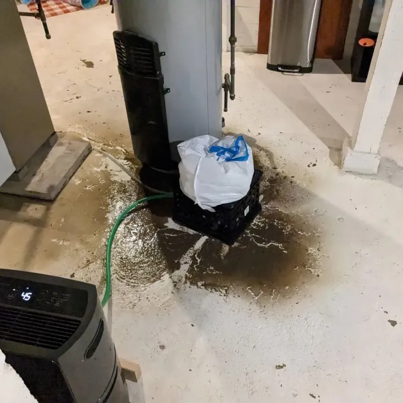 Sewage Backup Cleanup Service in Canton, OH